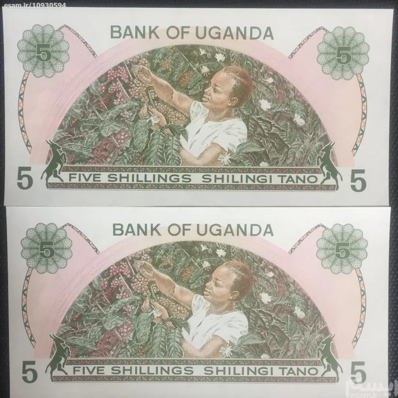 جفت اسکناس بانکی زیبا 5 شیلینگ کشور اوگاندا