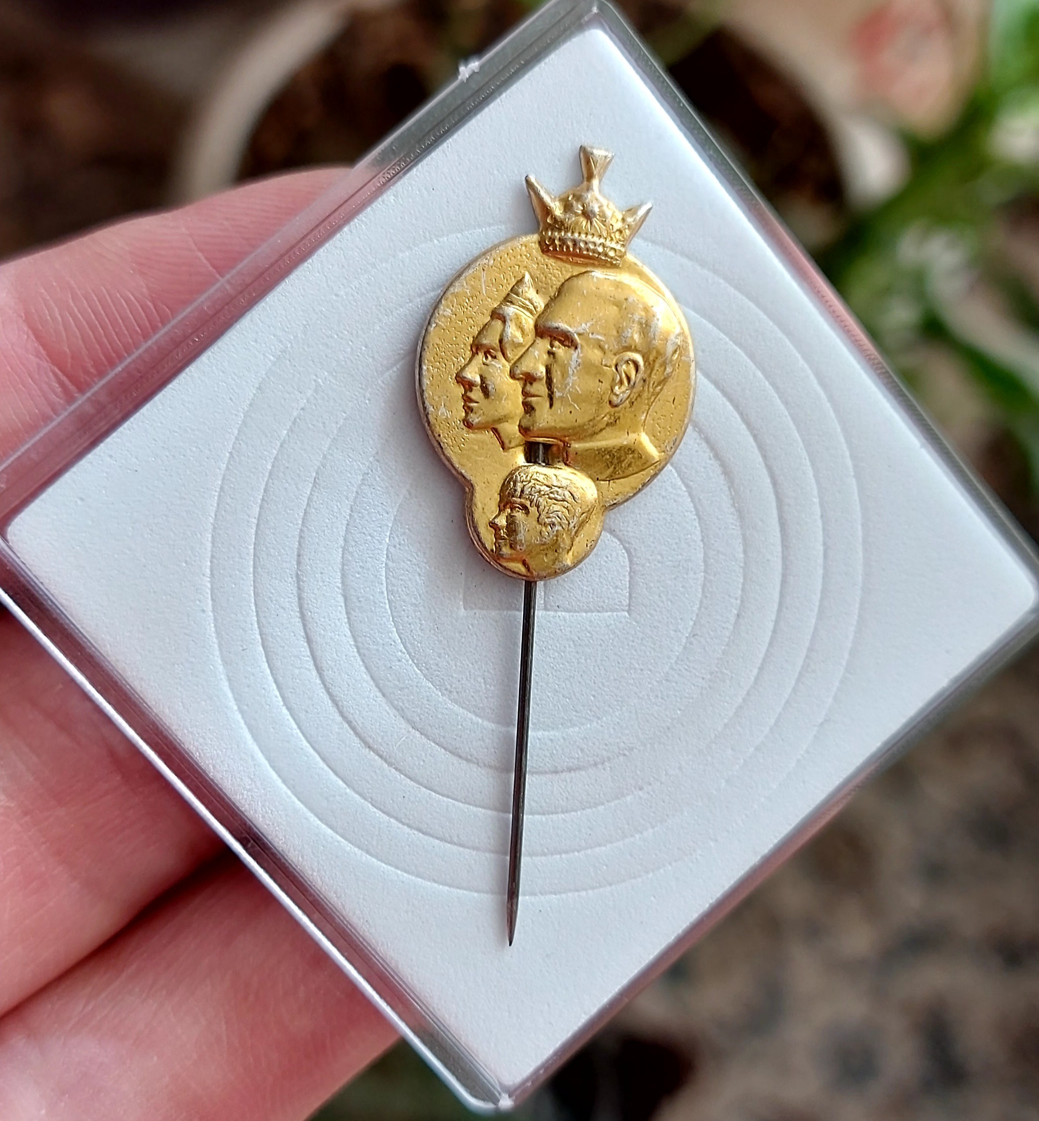 بج سینه سه رخ پهلوی