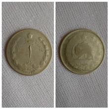 سکه