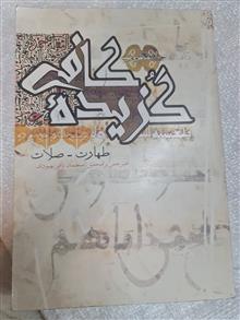 گزیده