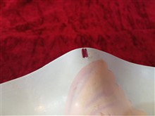 ظرف
