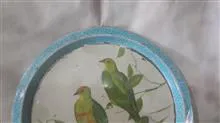 سینی