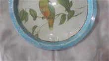 سینی