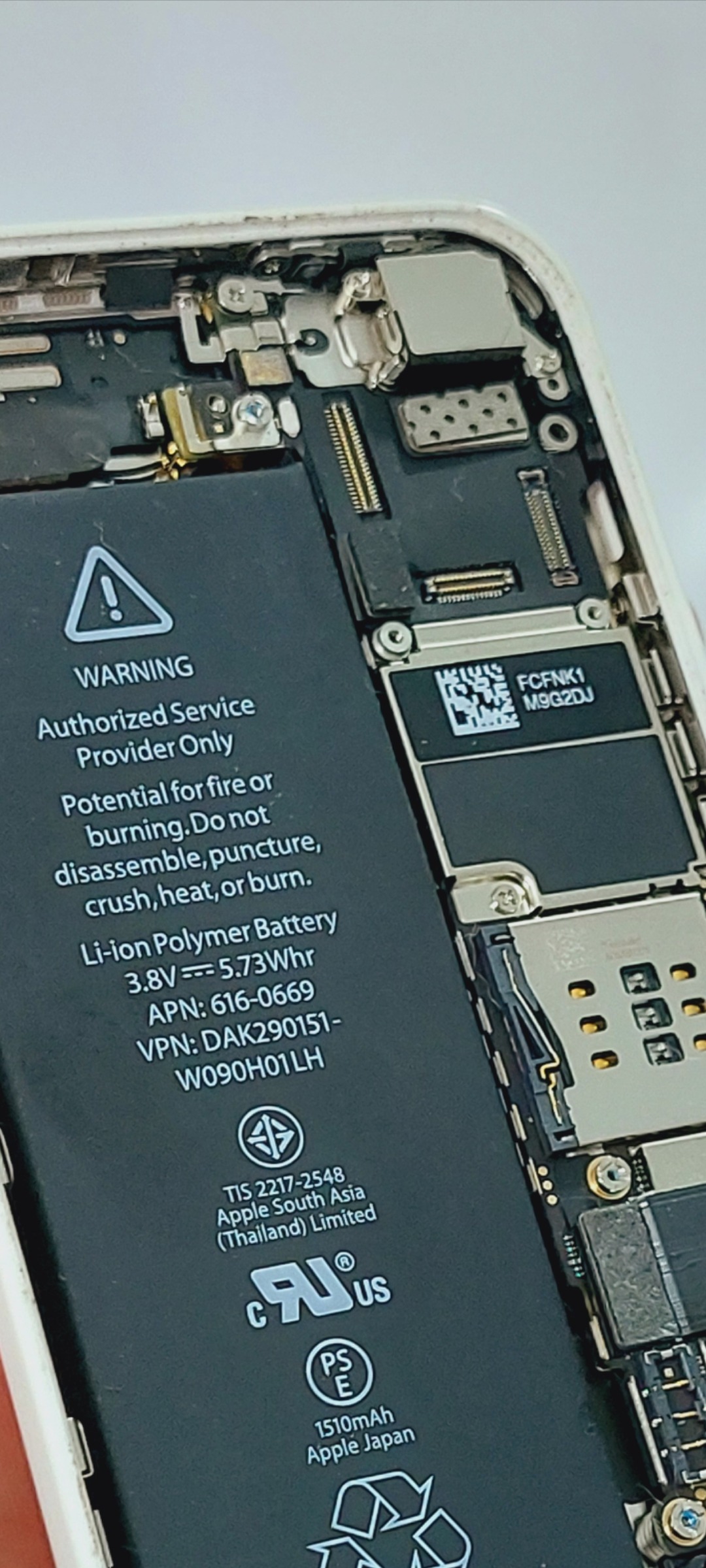دودبین پشت اپل 5c