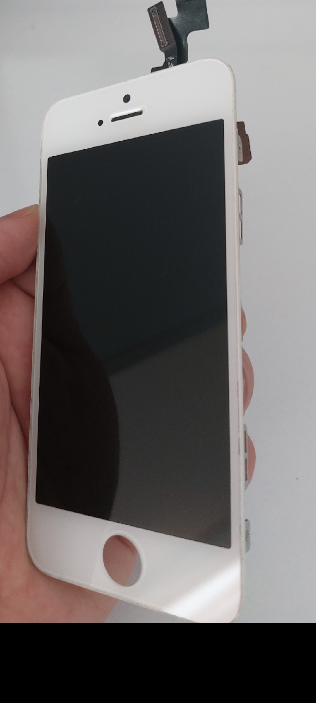 تاچ السیدی اپل 5s
