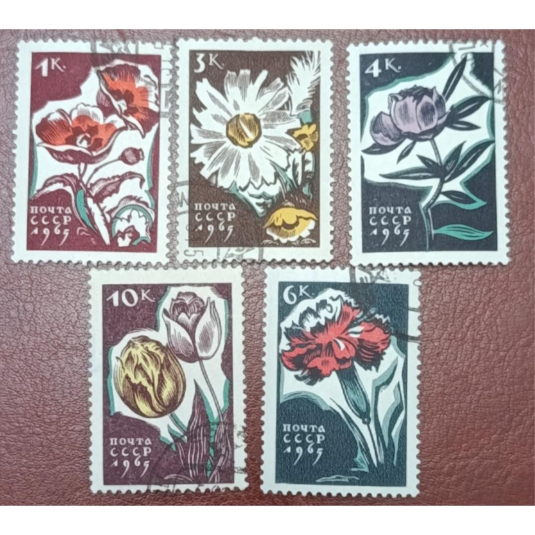 سری زیبای گلها. روسیه 1999