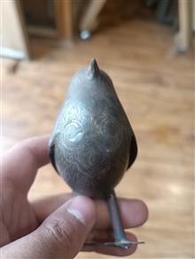 پرنده
