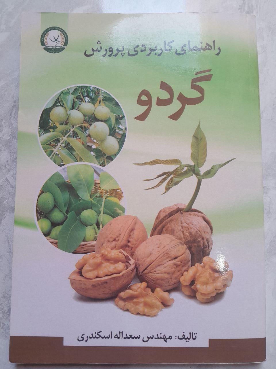 راهنمای کاربردی پرورش گردو اسکندری