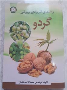 راهنمای