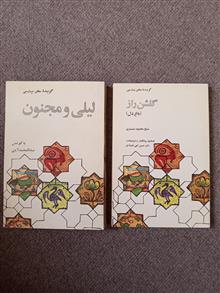 گزیده