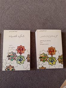 گزیده