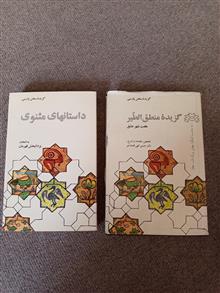 گزیده