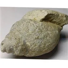 فروش