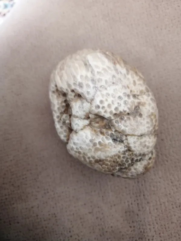 سنگ لانه زنبوری خاص و تک