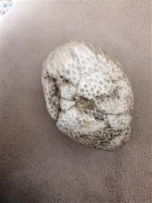 سنگ