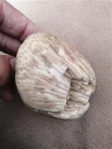 سنگ