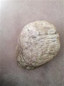 سنگ