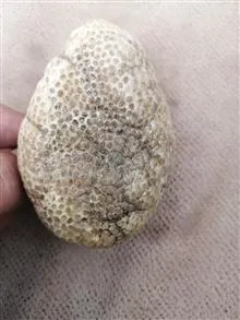 سنگ