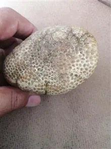 سنگ