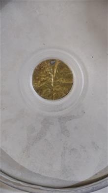 سکه