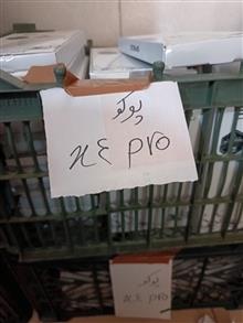 قاب