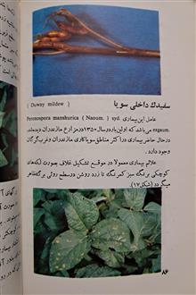 زراعت