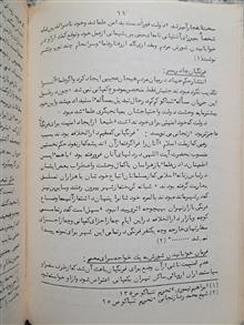 ریشه