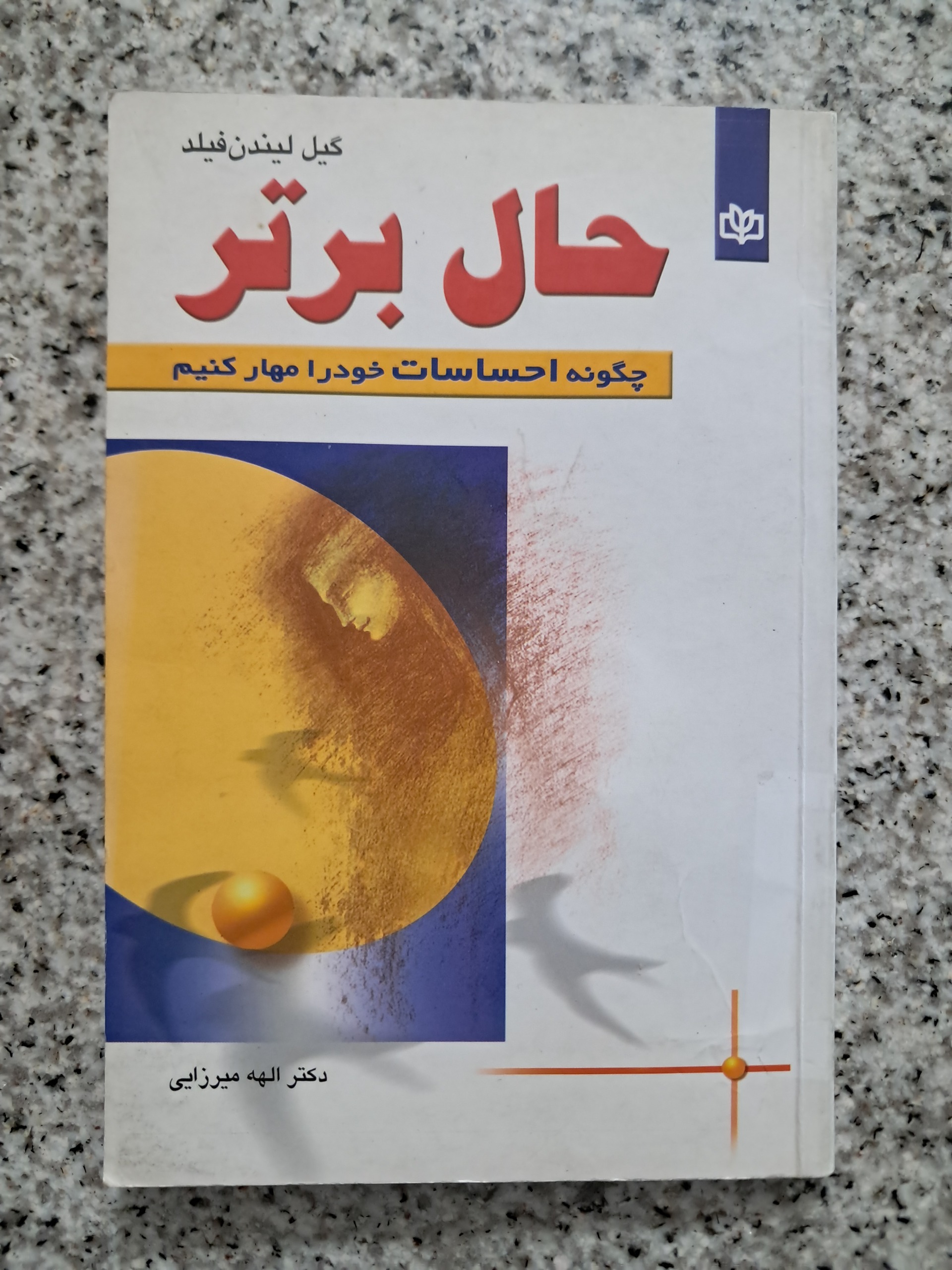 حال برتر (چگونه احساسات خود را مهار کنیم)