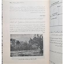 آبیاری