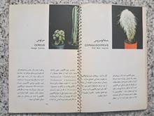 پرورش
