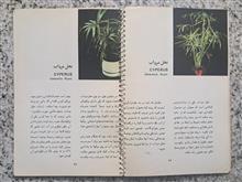 پرورش