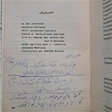 سبزیکاری