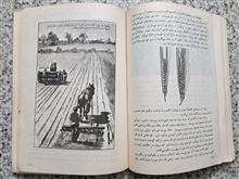 سبزیکاری