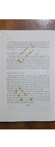 (Paragraph