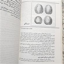 خوردنیهای