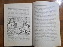 امیر
