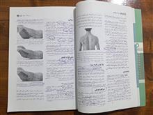 پیلاتس