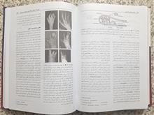 ژنتیک