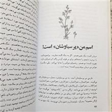 زبان