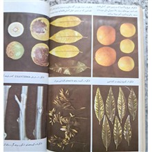 عملیات