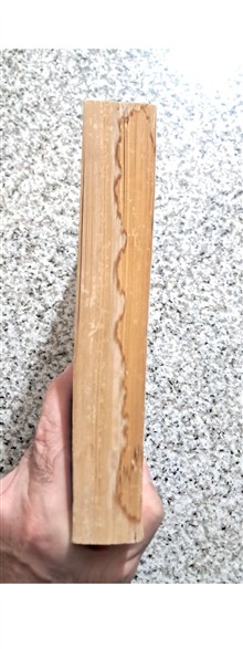 نظریه