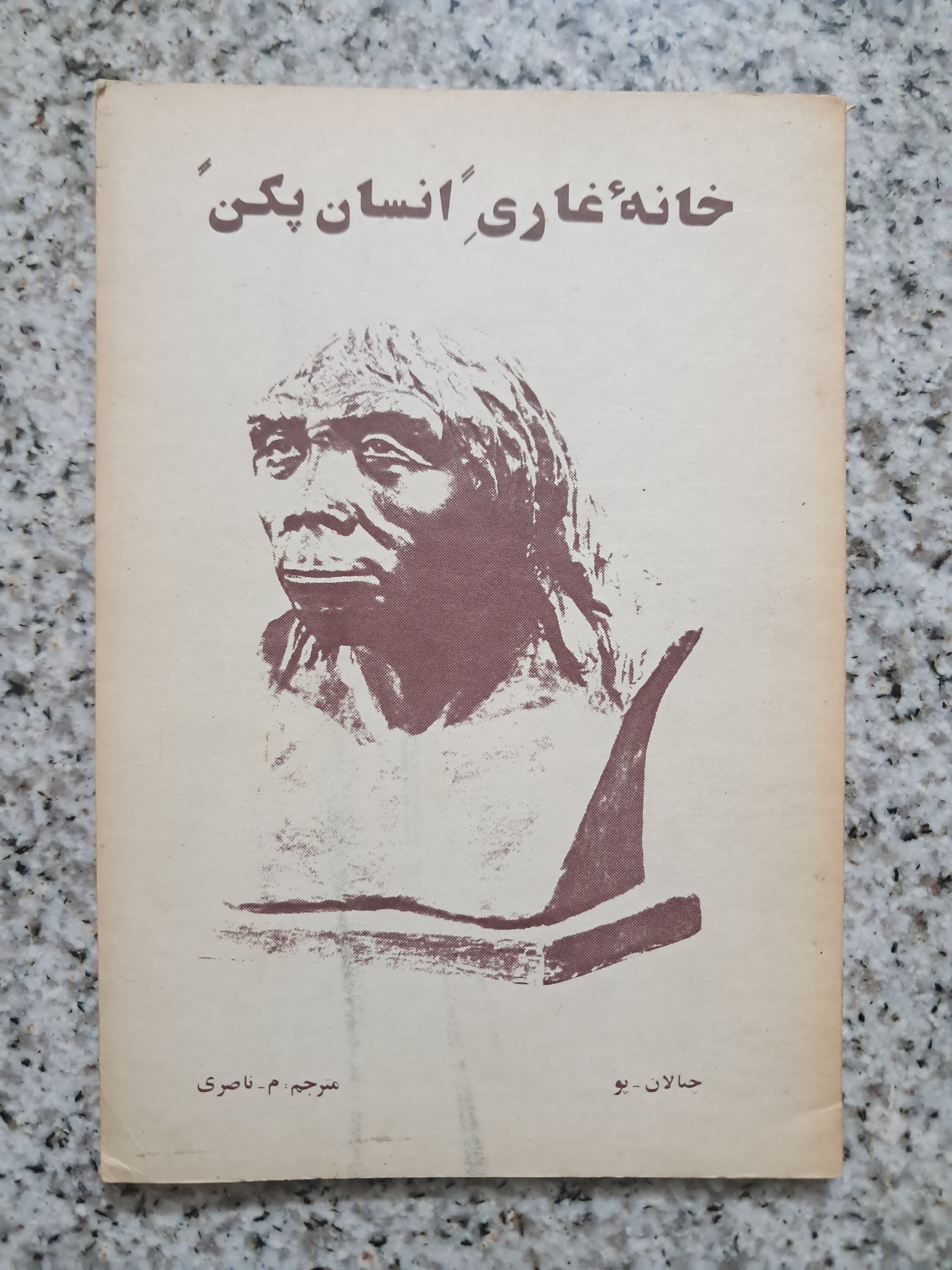 خانهٔ غاریِ انسان پکن