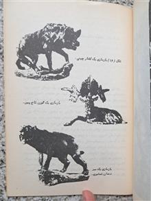 خانهٔ