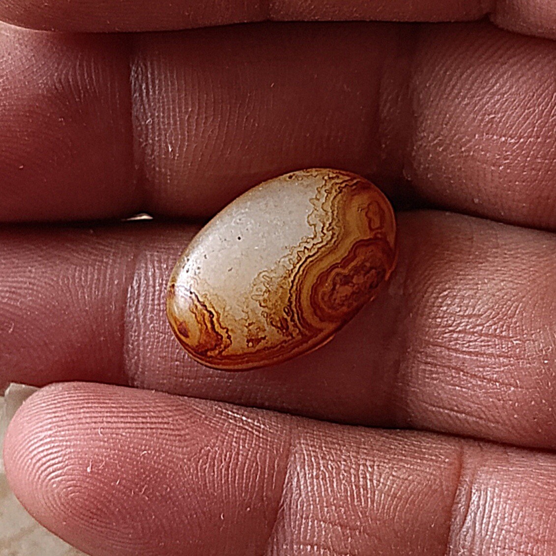 نگین سلیمانی کهنه