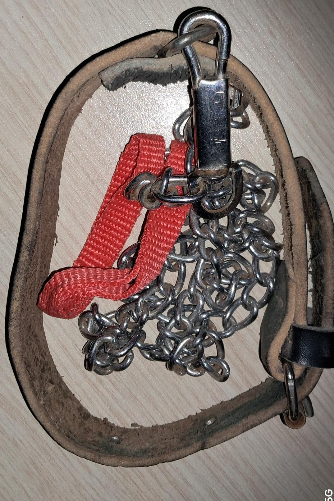 زنجیر گردنی ضد زنگ