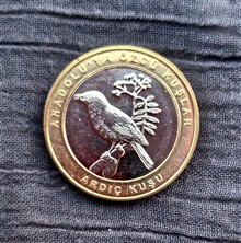 سکه