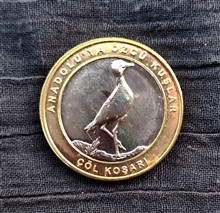 سکه