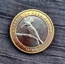 سکه