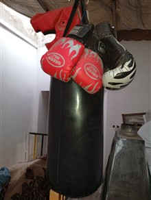 کیسه