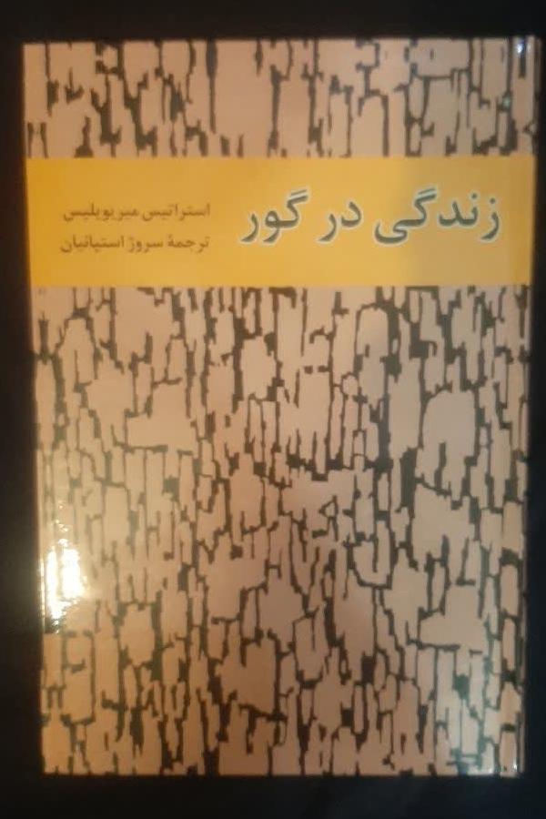 زندگی در گور استراتیس مریلیس